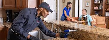 Best Real Estate Pest Inspections  in Kalkaska, MI