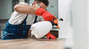 Best Pest Exclusion Services  in Kalkaska, MI